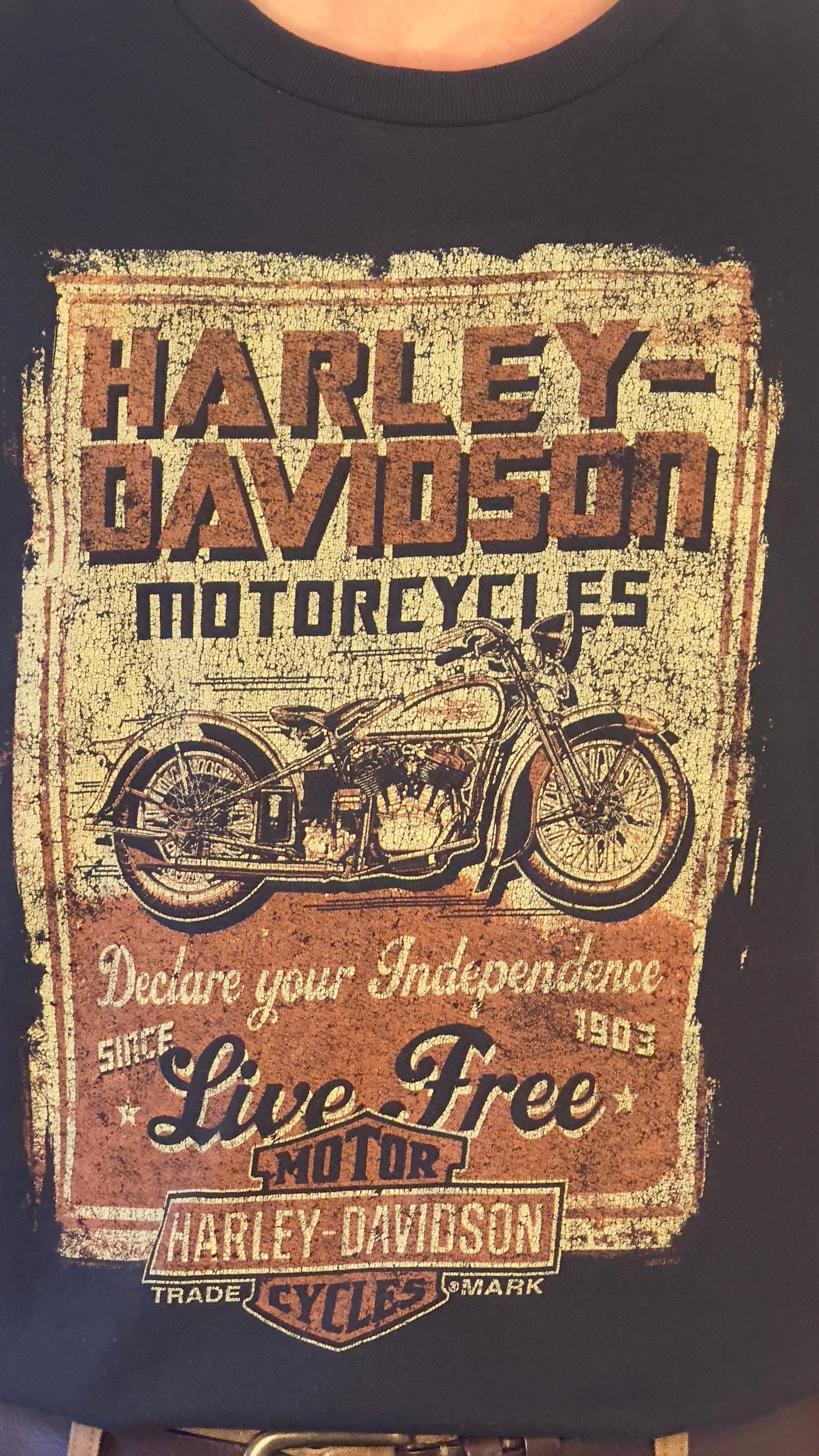 Harley Davidson Motorcycles T-shirt | Hollywood